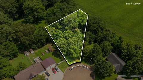Mosswood, Union City, TN 38261