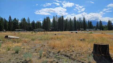 17406 Possum Way, Weed, CA 96094