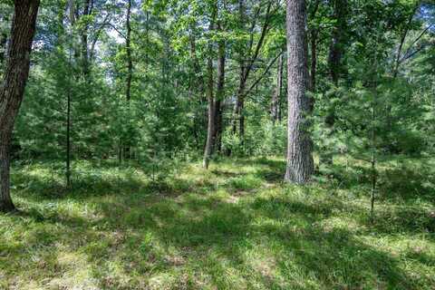 1662 20th Avenue, Arkdale, WI 54613
