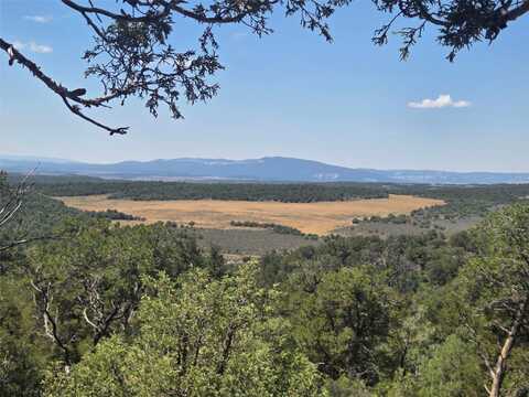 Lot 16 Unit 4, Tierra Amarilla, NM 87575
