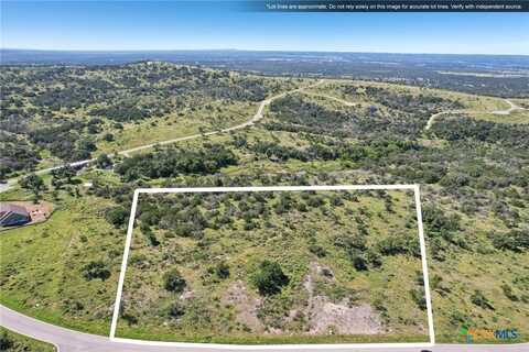 Lot 84 Big Creek Drive, Kingsland, TX 78639