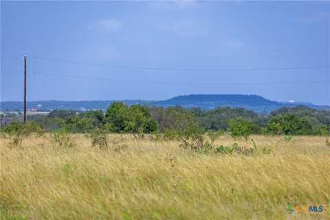 10ac FM 243, Bertram, TX 78605