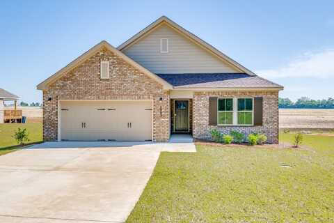 1017 Sandbed Road, Newton, AL 36352