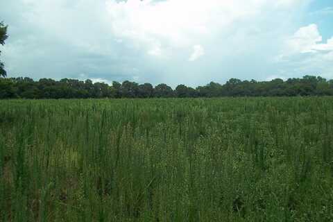 Grimsley Mill Road, Blakely, GA 39823