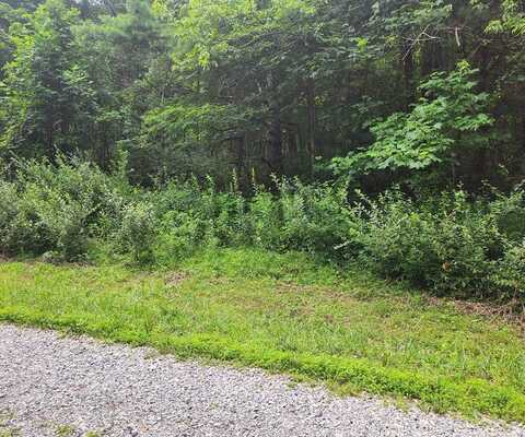 Lot 38 Hickory Hollow Ln, Copper Hill, VA 24079