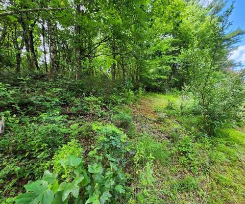 Tbd Hickory Hollow Ln, Copper Hill, VA 24079