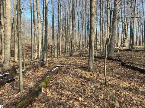 9357 W Circle Drive, Stanwood, MI 49346