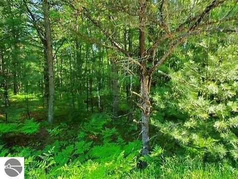 0 Hillside Drive, Alger, MI 48610