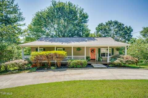 409 Birdie Drive, Rogersville, TN 37857