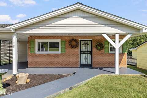 1509 East Holston Avenue, Johnson City, TN 37601