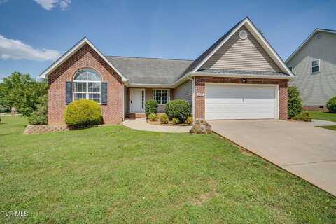 205 Rockingham Meadows Drive, Johnson City, TN 37615