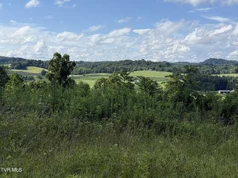 105 Tailwater Road, Bluff City, TN 37618