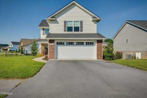 1329 Lemongrass Drive, Jonesborough, TN 37659