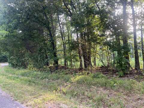 Green Allen Springs Road, HUNTINGDON, TN 38344