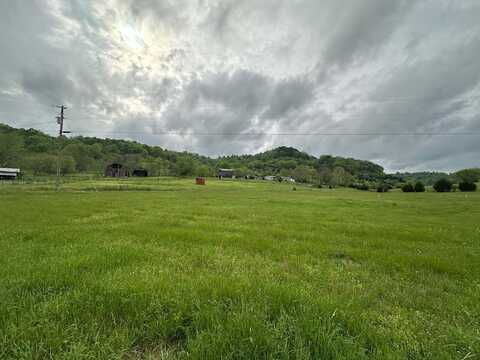 Duke Hollow Ln, CARTHAGE, TN 37030