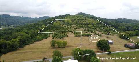 Smith Bend Ln Lots 4 & 5, GAINESBORO, TN 38562