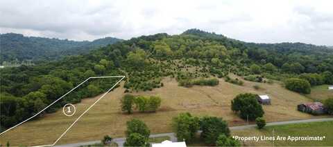 Smith Bend Ln Lot 1, GAINESBORO, TN 38562