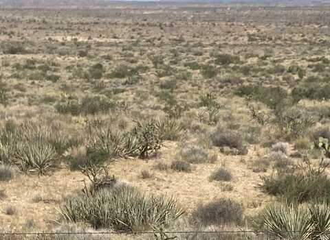 Water Tank Rd unit: 213A, Kingman, AZ 86409