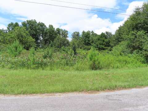 GERMAN Rd, Nauvoo, AL 35578