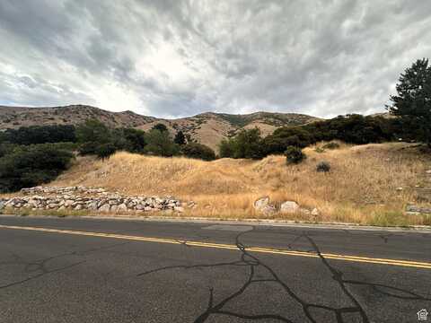 1783 SPRING OAKS, Springville, UT 84663