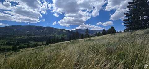 undefined, Bancroft, ID 83217