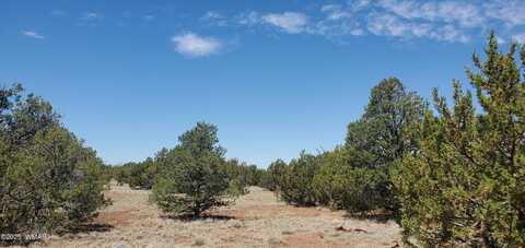 17 County Road 8077, Concho, AZ 85924