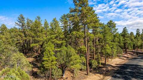 4460 W Hawthorn Road, Show Low, AZ 85901
