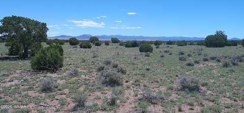 Tbd Windsor Valley Ranch Lot 87, Concho, AZ 85924