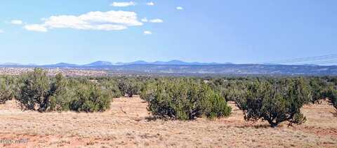 Lot 44 Ranch Of The White Mountains, Concho, AZ 85924