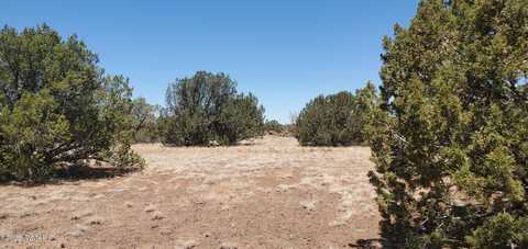 Tbd High Plains Road, Show Low, AZ 85901