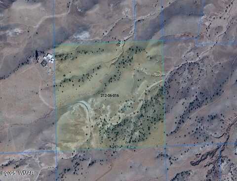 Lot 118 Big Valley Ranches, Concho, AZ 85924