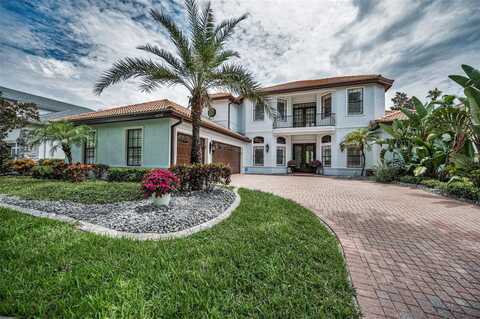 10238 PONTOFINO CIRCLE, TRINITY, FL 34655