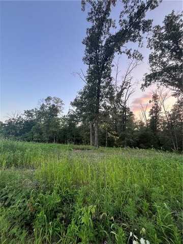 Coopers RD, Pineville, MO 64856
