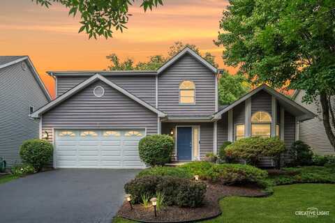 567 Roxbury Drive, Naperville, IL 60565
