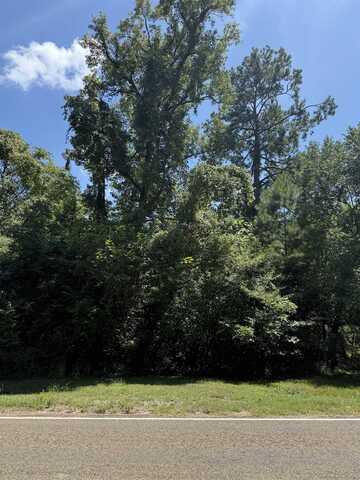 TRACT 11 N Hwy 87, Burkeville, TX 75932