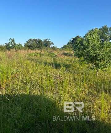 0 Lowery Landing Road, Brewton, AL 36426