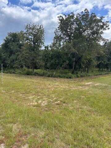 20 Meadowood, Hilltop Lakes, TX 77871