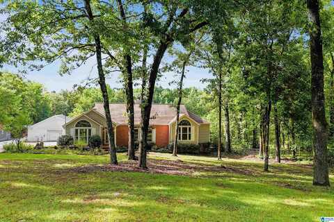 303 CHESTNUT LANE, ALABASTER, AL 35007