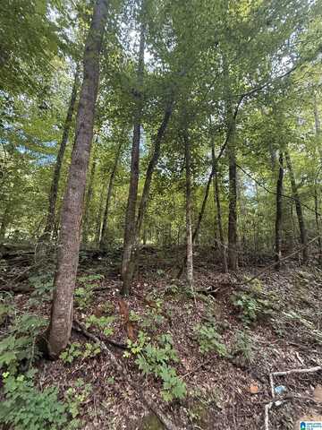 0 COUNTY ROAD 312, MAPLESVILLE, AL 36750