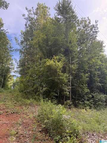 0 COUNTY ROAD 228, MAPLESVILLE, AL 36750