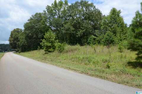 2505 OLD DOWNING MILL ROAD, ANNISTON, AL 36207