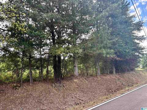 9490 BANKSTON ROAD, DORA, AL 35062