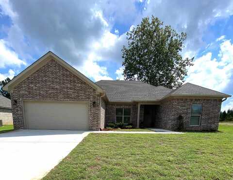 13 Wolfsbridge Loop, Cabot, AR 72023