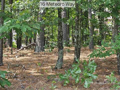 16 Meteoro Way, Hot Springs Village, AR 71909