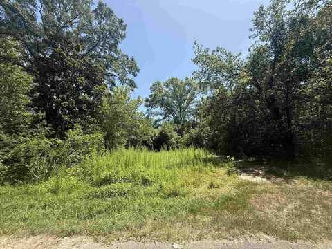 305 Lillian St Street, Malvern, AR 72104