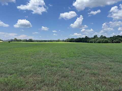 Gilbert Road, Elko, GA 31025