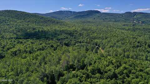 49 The Woods, North Creek, NY 12853