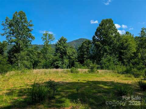 303 Festive Pine Trail, Green Mountain, NC 28740