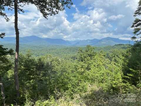 Bills Mountain Trail unit: 6, Lake Lure, NC 28746