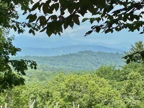 215 Crossvine Trail unit: 11, Hendersonville, NC 28739